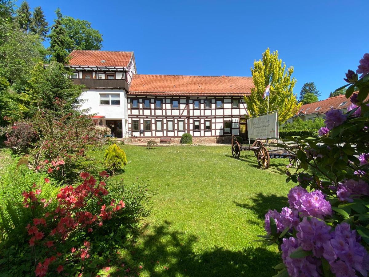 Hotel Pension Gelpkes Muehle バート・ザクサ エクステリア 写真